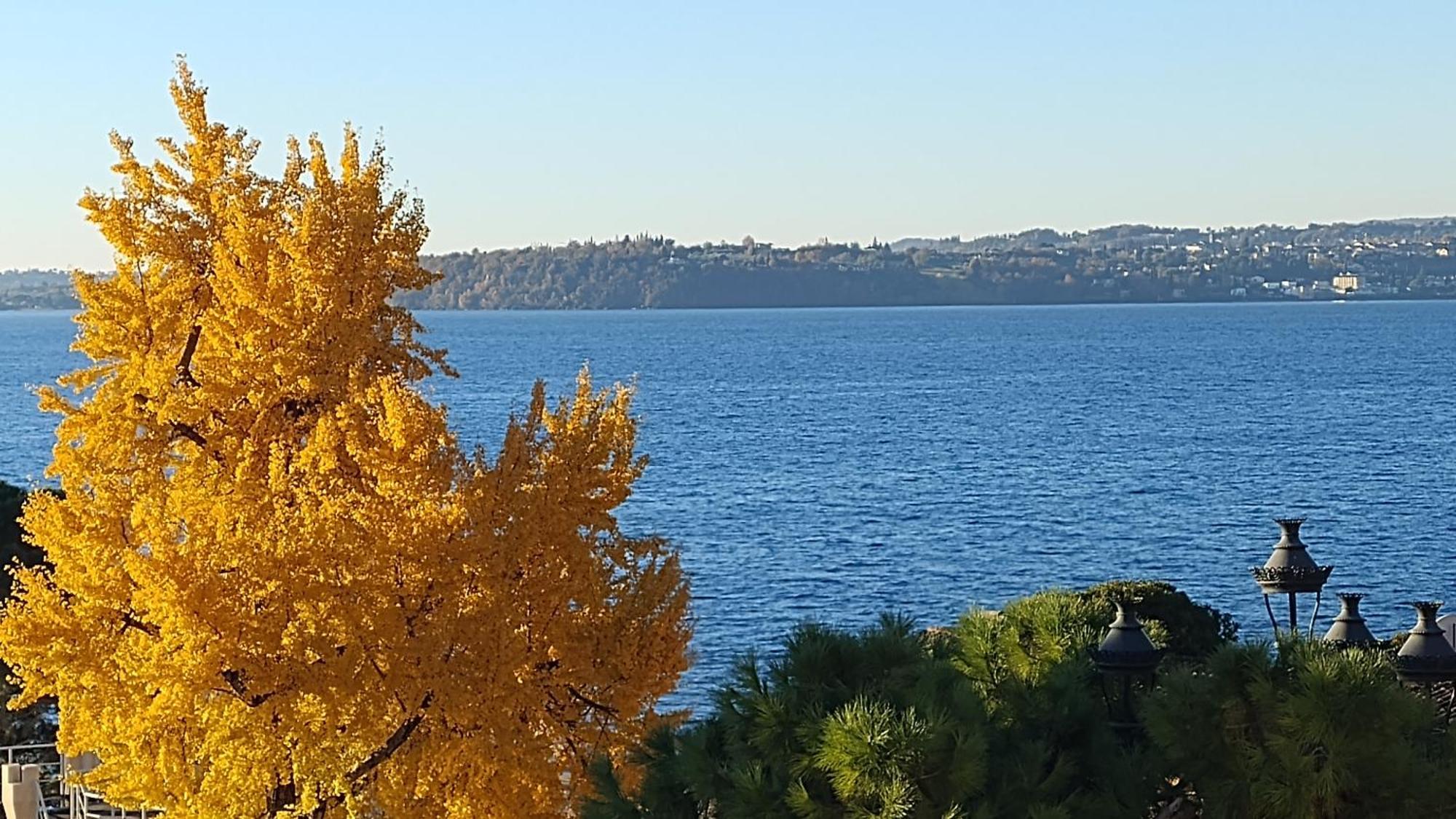 B&B Agora' Gardone Riviera Extérieur photo